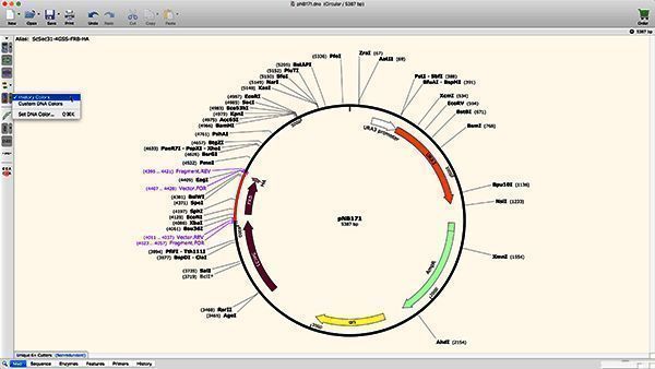 历史色彩显示示例