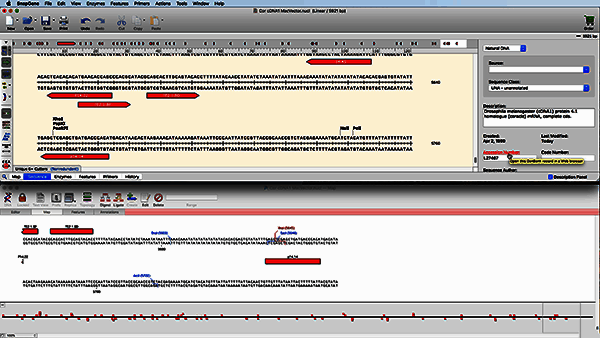 文件导入操作示例