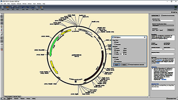 文件导出操作示例