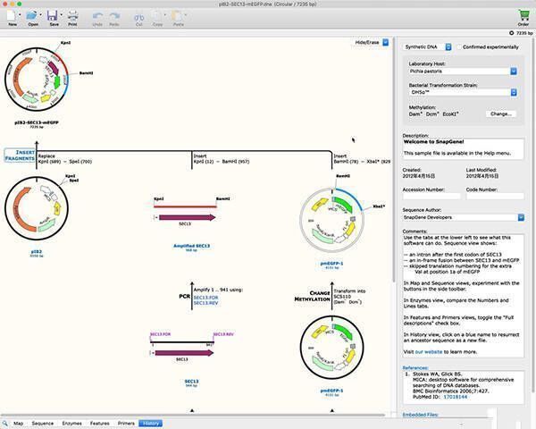 文件格式转换示例