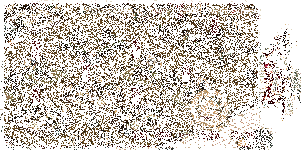 本草归元录游戏玩法展示动图