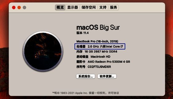 查看Mac芯片步骤2图片
