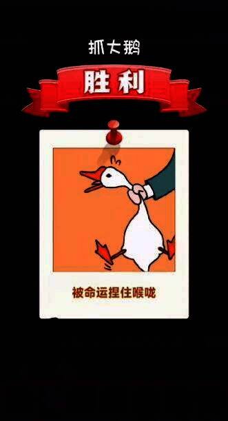 抓大鹅免广告游戏画面