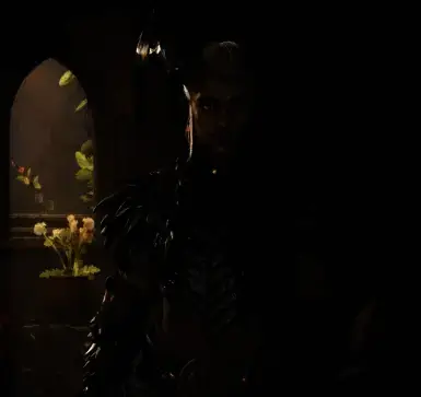 《龙腾世纪：影障守护者》概念艺术MOD截图1