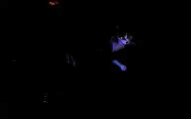 《龙腾世纪：影障守护者》印花猫MOD截图2