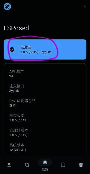 LSPosed已激活显示截图