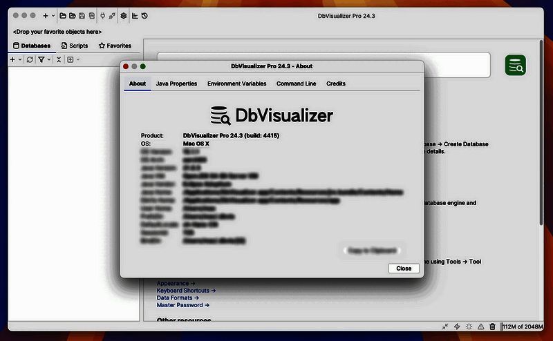 DbVisualizer mac版软件界面
