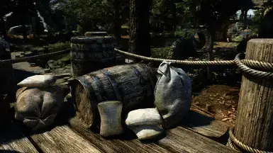 《上古卷轴5：天际重制版》区域食品桶MOD截图1