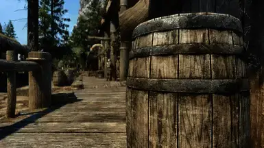 《上古卷轴5：天际重制版》区域食品桶MOD截图3