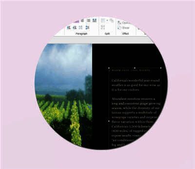 PDF文档编辑示例