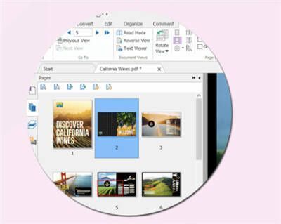 PDF页面管理操作