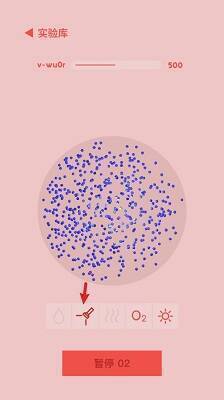 使用手电光照观察界面