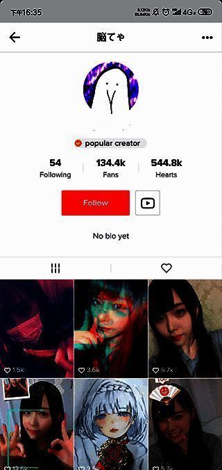 tik tok IOS版相关图片