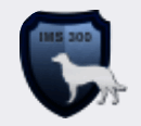 IMS300