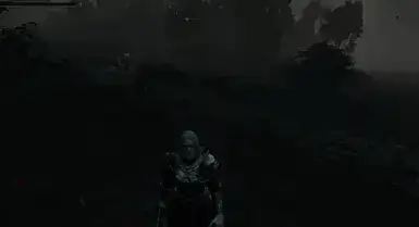 《艾尔登法环》BOSS入侵MOD截图1