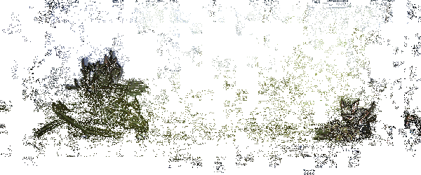 铁尾传奇2游戏画面动图2