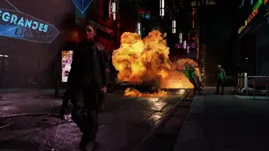 《星空》伴侣与浪漫MOD截图1