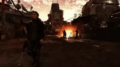 《星空》伴侣与浪漫MOD截图3