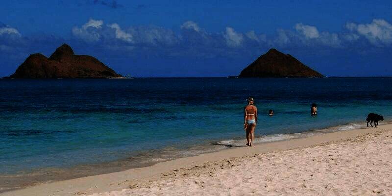 Inpaint软件特色展示图2