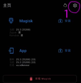 Magisk软件设置界面