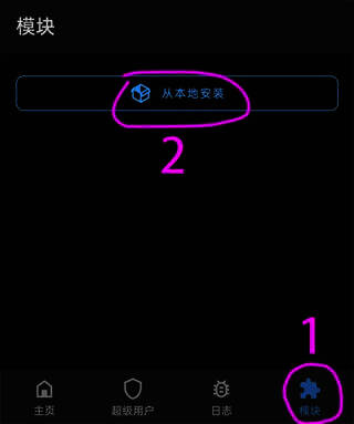 Magisk软件模块本地安装界面