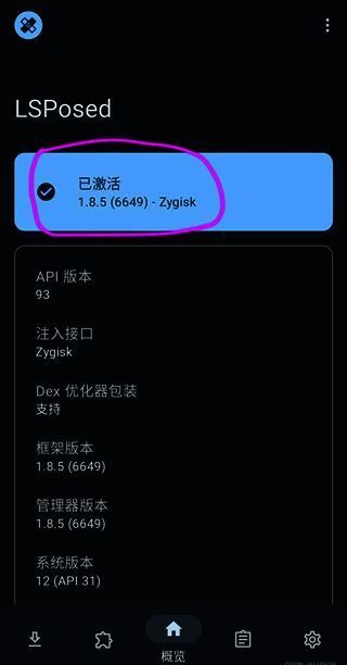 LSP框架激活成功界面