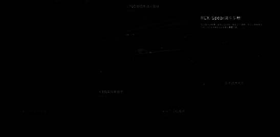 RCX - Spear战斗步枪