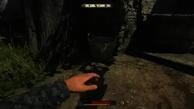 《天国：拯救2》绿色篮子MOD截图一