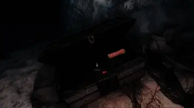 《上古卷轴5：天际重制版》时髦雪精灵宝箱MOD截图2