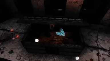 《上古卷轴5：天际重制版》时髦雪精灵宝箱MOD截图3