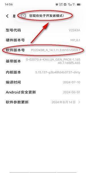 进入开发者模式操作截图
