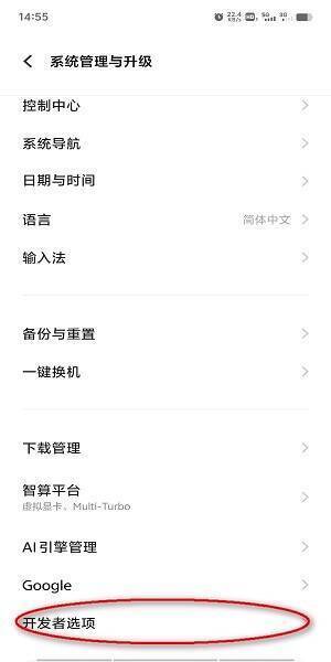 进入开发者选项操作截图