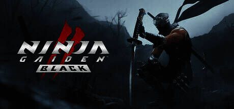 《忍者龙剑传2:黑之章》游戏画面1