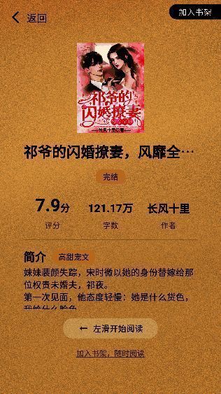 小说阅读界面展示