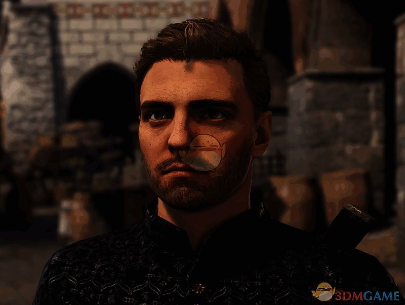 《天国：拯救2》亨利更细腻纹理MOD效果截图1