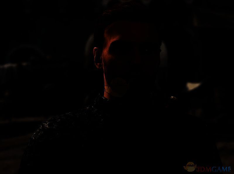 《天国：拯救2》亨利更细腻纹理MOD效果截图2