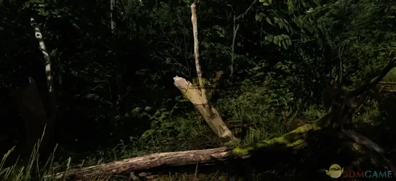 《天国:拯救2》色彩更加自然的画面预设MOD截图1