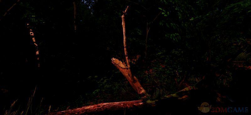 《天国:拯救2》色彩更加自然的画面预设MOD截图2