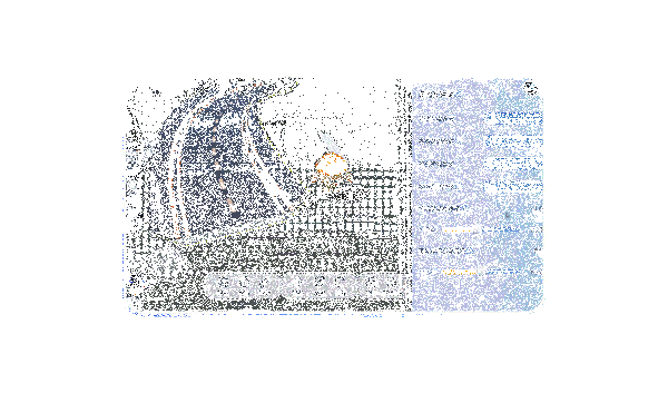 自定义模型功能相关动图