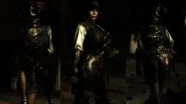 《上古卷轴5:天际重制版》最后的吸血鬼猎人MOD截图1