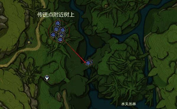 水天丛林树王圣体菇位置