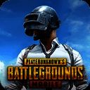 pubg 下载安装入口正版 V1.7.0