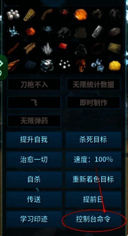 控制台指令界面