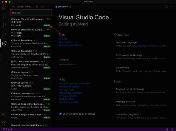 搜索并安装中文扩展界面