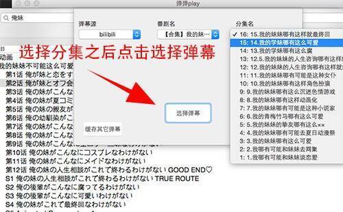 第三方弹幕搜索界面