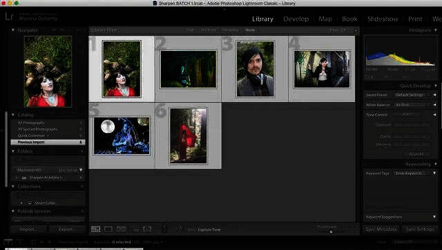 在Lightroom中选择图像的界面