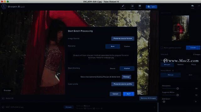 开始批处理的界面