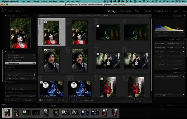 编辑后的图像返回Lightroom的界面