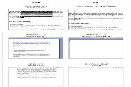 处理效果预览图片