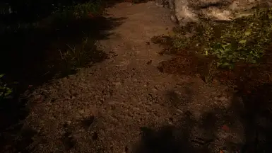 《上古卷轴5：天际重制版》肮脏的泥土MOD截图1